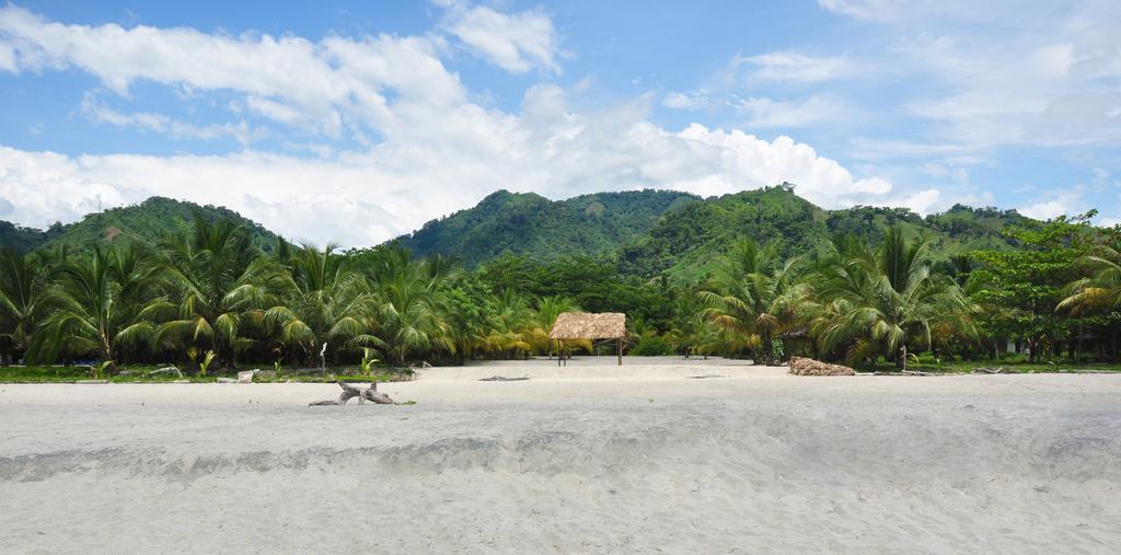 ホテルPlaya Koralia サンタ・マルタ エクステリア 写真