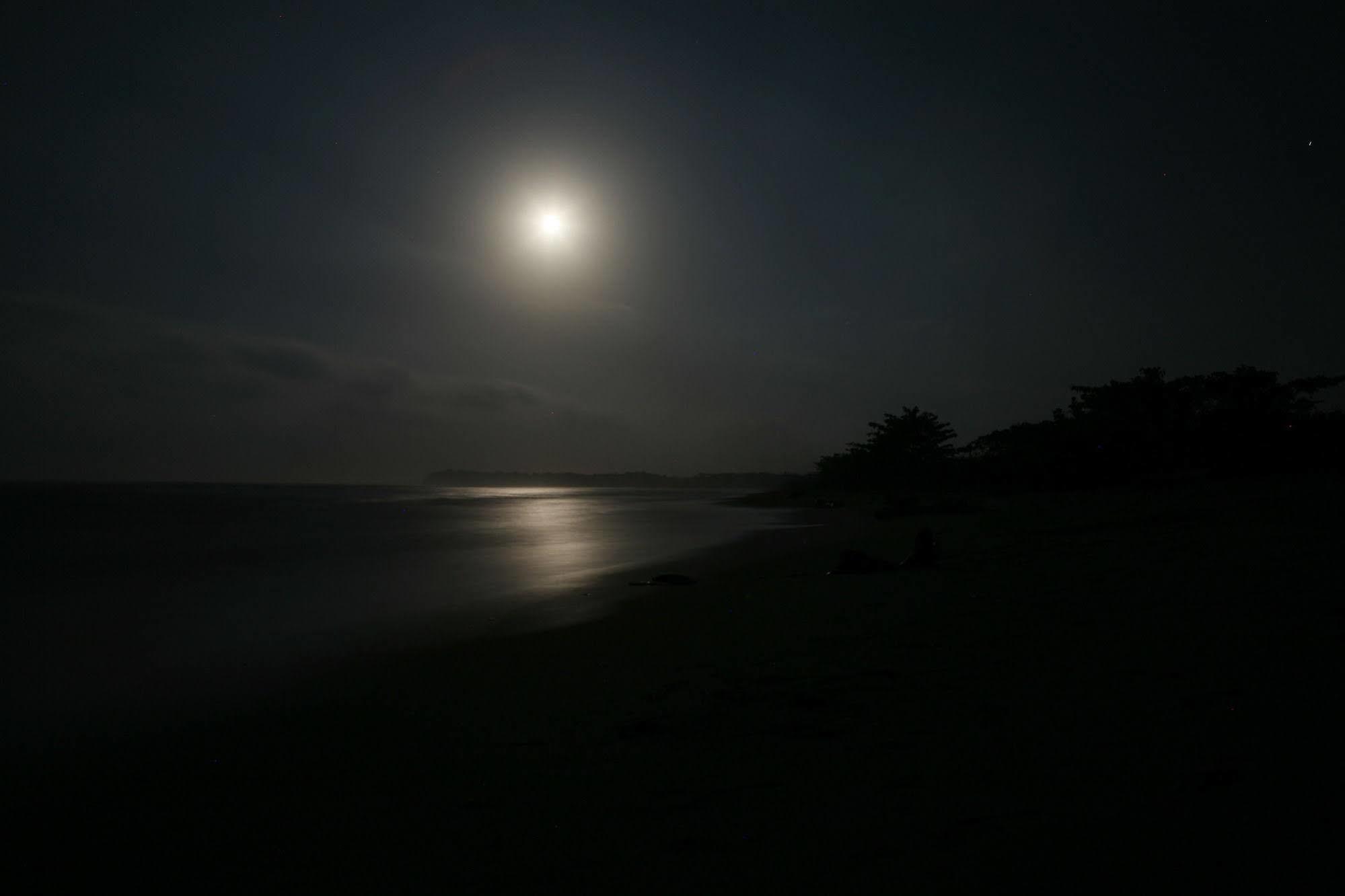 ホテルPlaya Koralia サンタ・マルタ エクステリア 写真